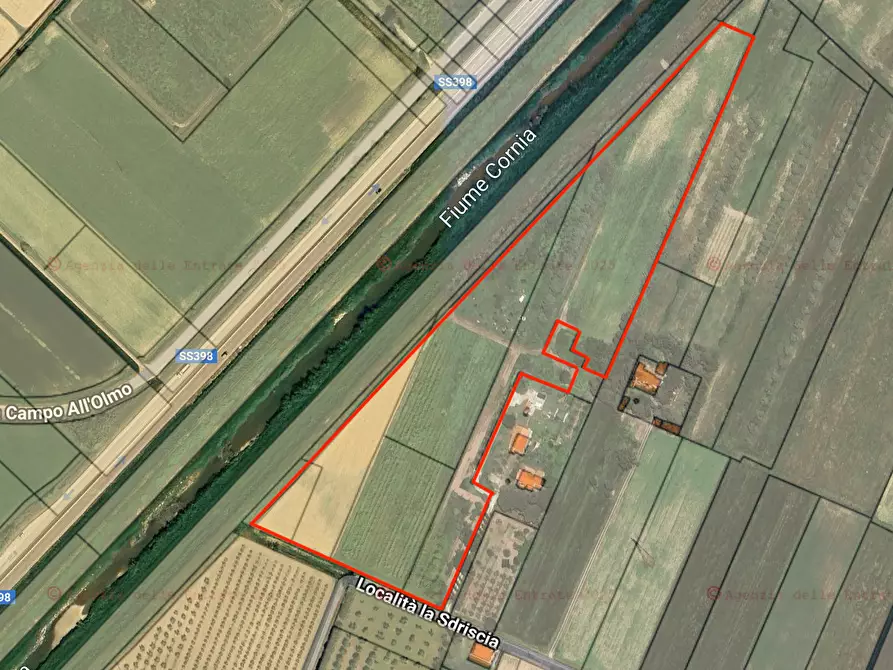 Immagine 9 di Terreno agricolo in vendita  a Piombino