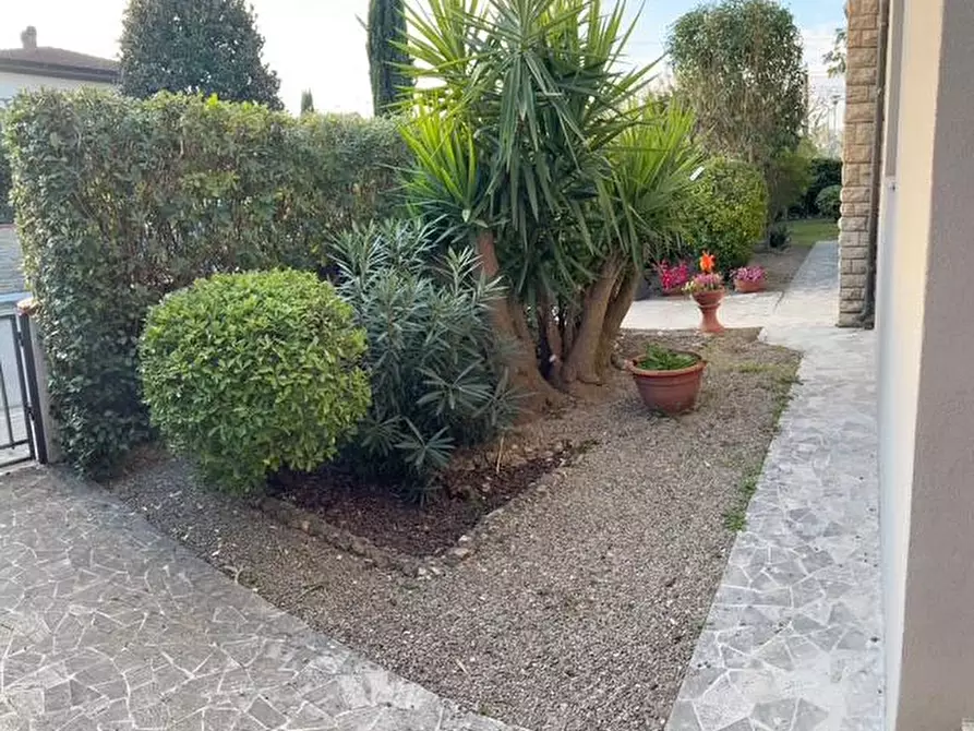 Immagine 15 di Appartamento in affitto  a Calcinaia