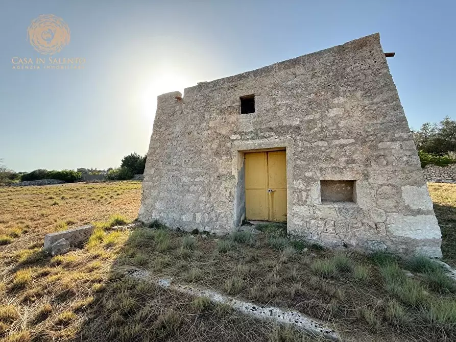 Immagine 8 di Terreno agricolo in vendita  a Castrignano Del Capo