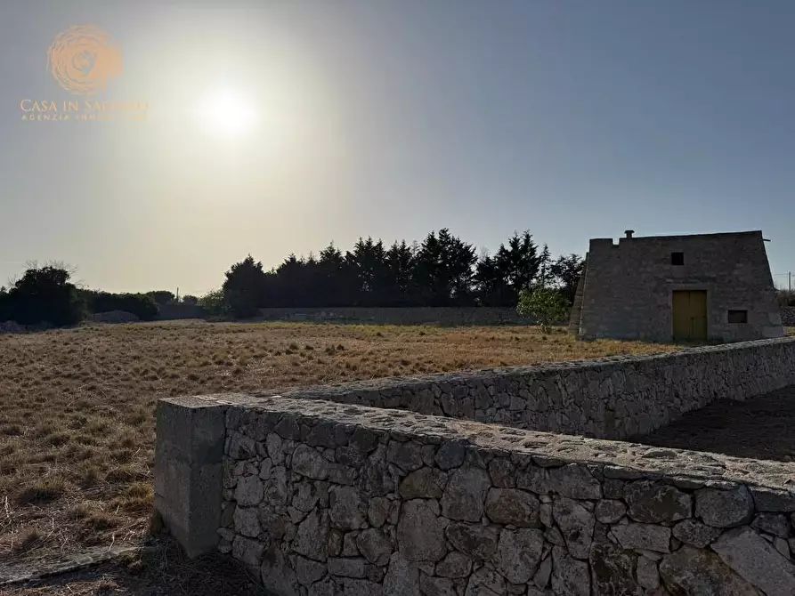 Immagine 23 di Terreno agricolo in vendita  a Castrignano Del Capo