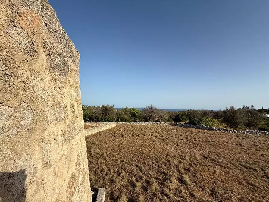 Immagine 15 di Terreno agricolo in vendita  a Castrignano Del Capo