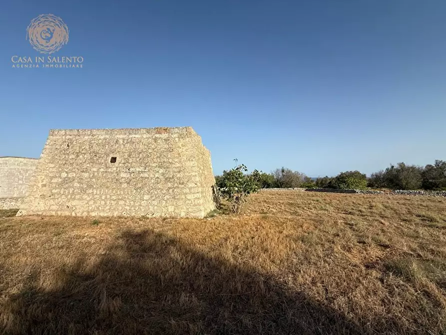 Immagine 11 di Terreno agricolo in vendita  a Castrignano Del Capo