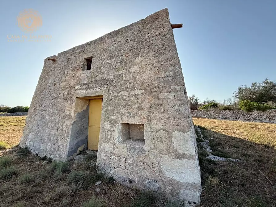 Immagine 9 di Terreno agricolo in vendita  a Castrignano Del Capo