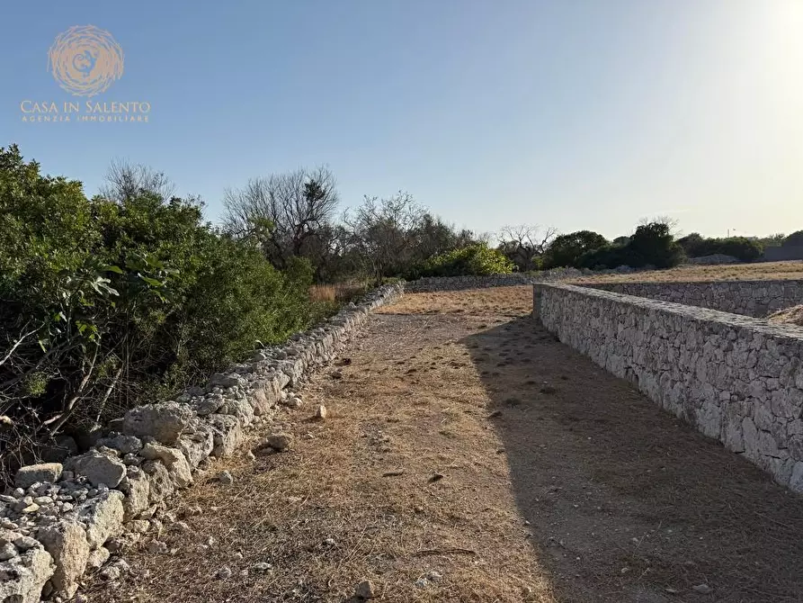 Immagine 24 di Terreno agricolo in vendita  a Castrignano Del Capo
