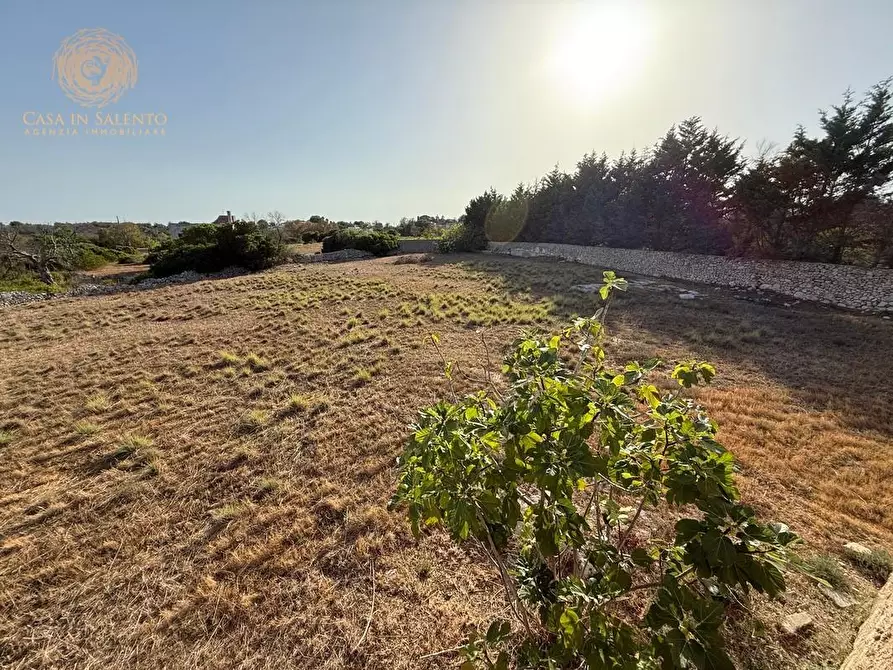 Immagine 16 di Terreno agricolo in vendita  a Castrignano Del Capo