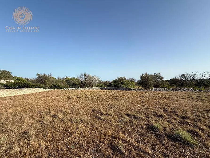 Immagine 14 di Terreno agricolo in vendita  a Castrignano Del Capo