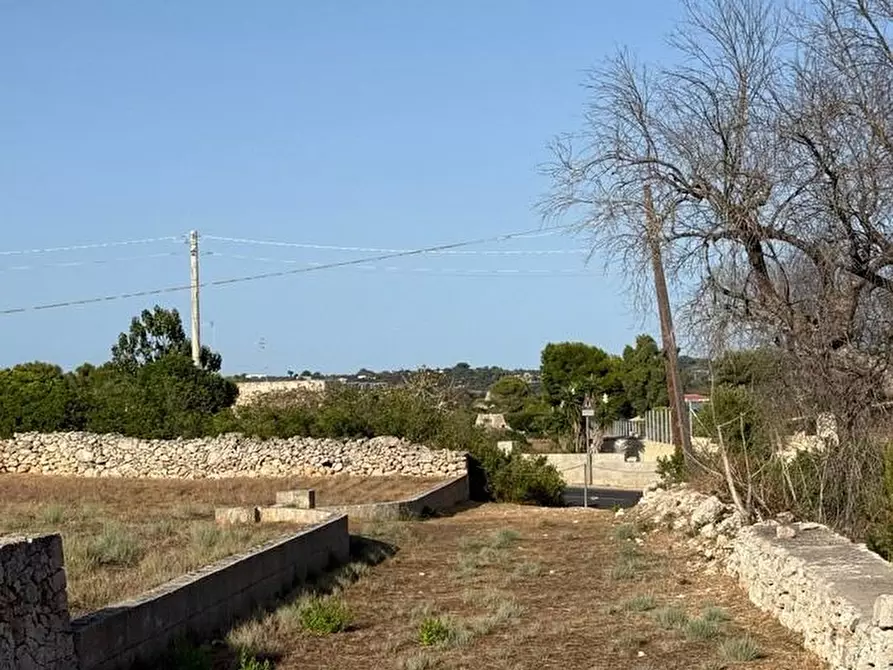 Immagine 5 di Terreno agricolo in vendita  a Castrignano Del Capo