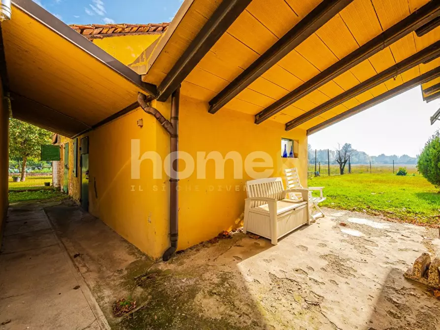 Immagine 50 di Appartamento in vendita  a Molinella