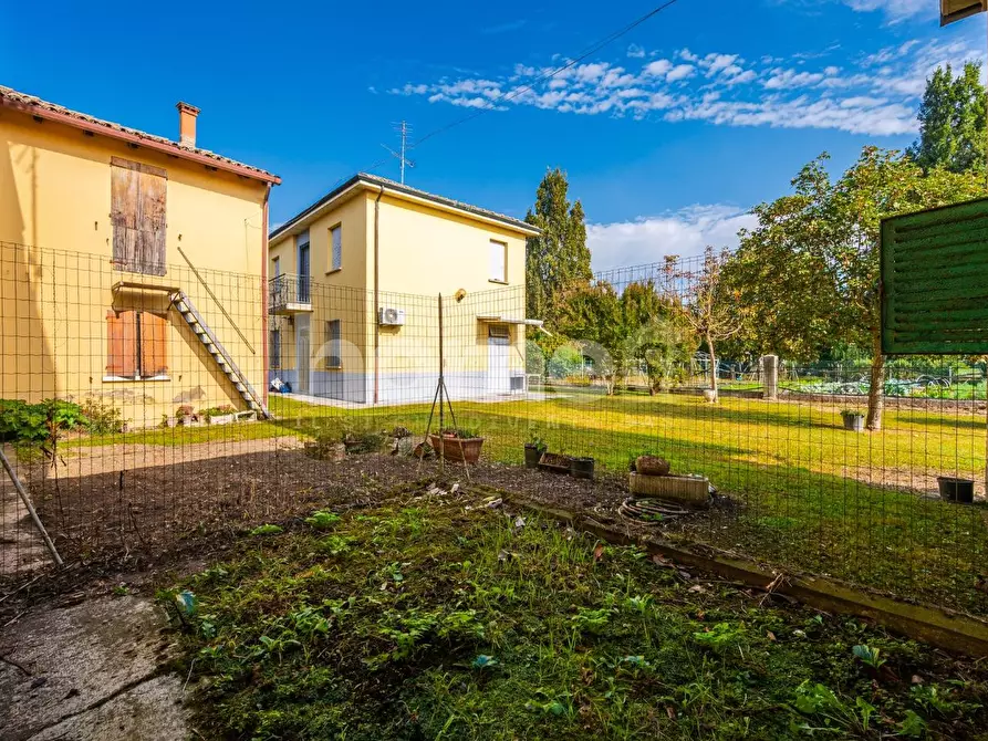 Immagine 51 di Appartamento in vendita  a Molinella