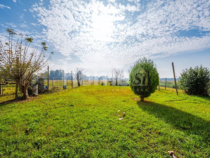 Immagine 45 di Appartamento in vendita  a Molinella