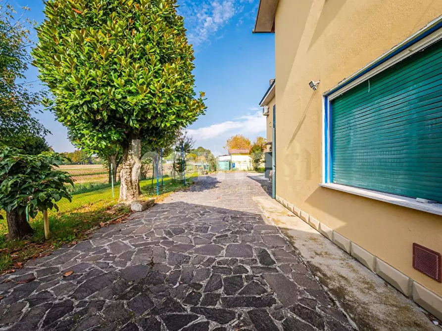 Immagine 53 di Appartamento in vendita  a Molinella