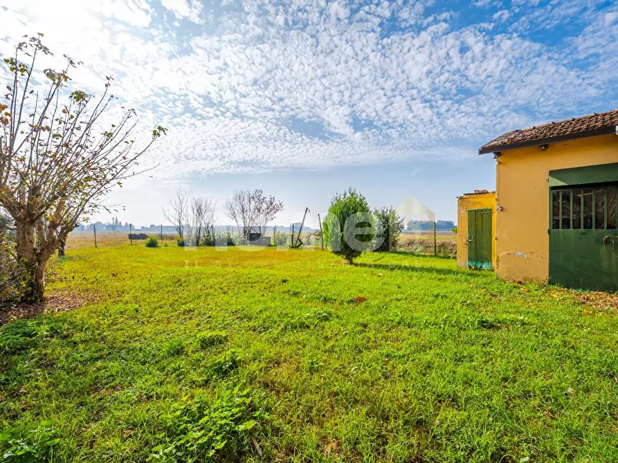 Immagine 44 di Appartamento in vendita  a Molinella