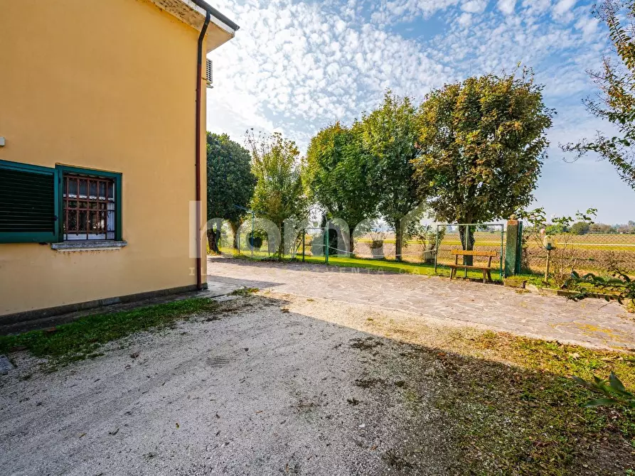 Immagine 59 di Appartamento in vendita  a Molinella