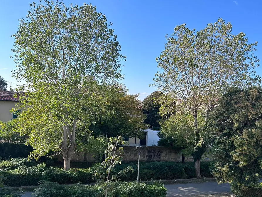 Immagine 7 di Appartamento in vendita  a Livorno