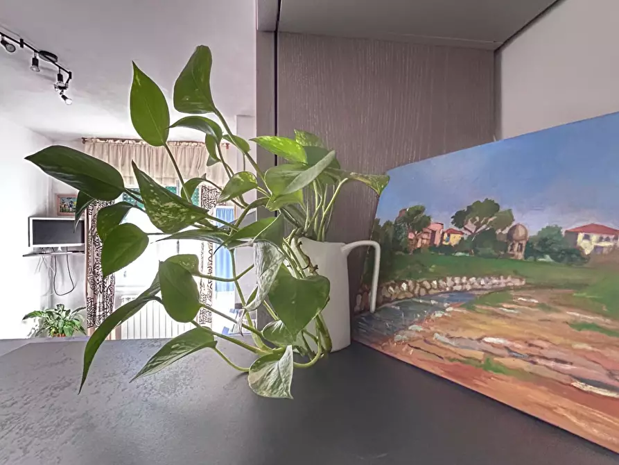 Immagine 3 di Appartamento in vendita  a Livorno