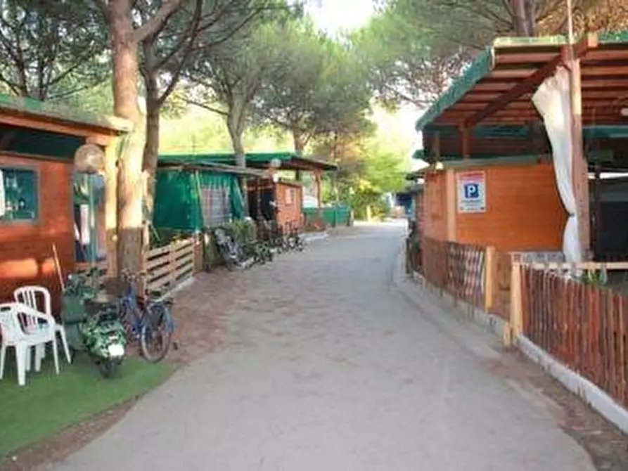 Immagine 4 di Attività commerciale in vendita  a Pisa