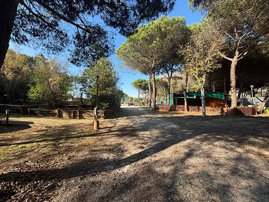 Immagine 10 di Attività commerciale in vendita  a Pisa