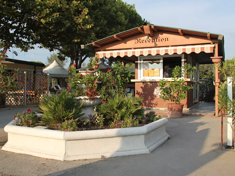 Immagine 1 di Attività commerciale in vendita  a Pisa