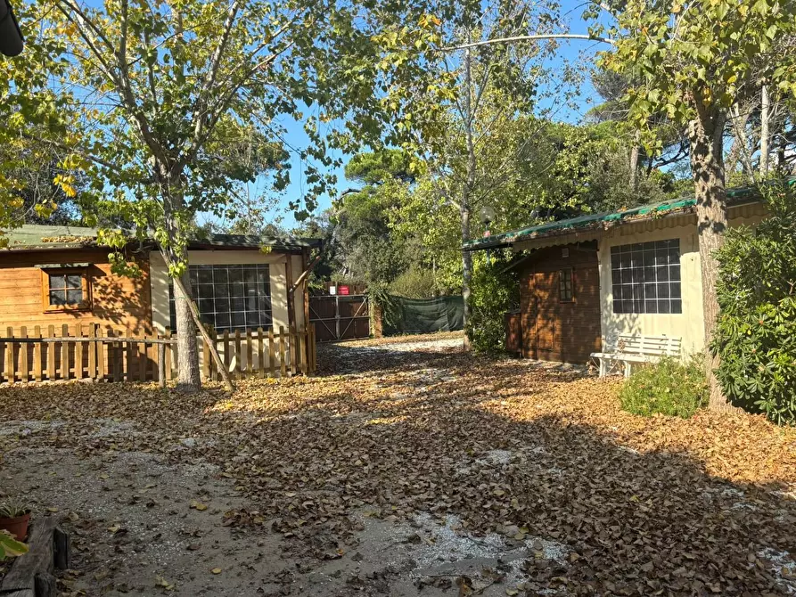 Immagine 7 di Attività commerciale in vendita  a Pisa