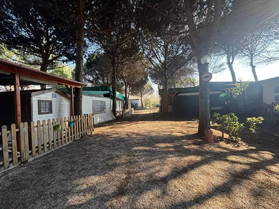 Immagine 8 di Attività commerciale in vendita  a Pisa