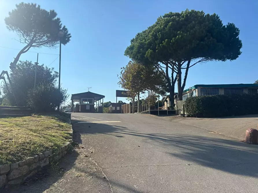 Immagine 11 di Attività commerciale in vendita  a Pisa