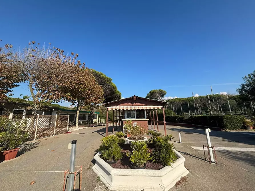 Immagine 12 di Attività commerciale in vendita  a Pisa