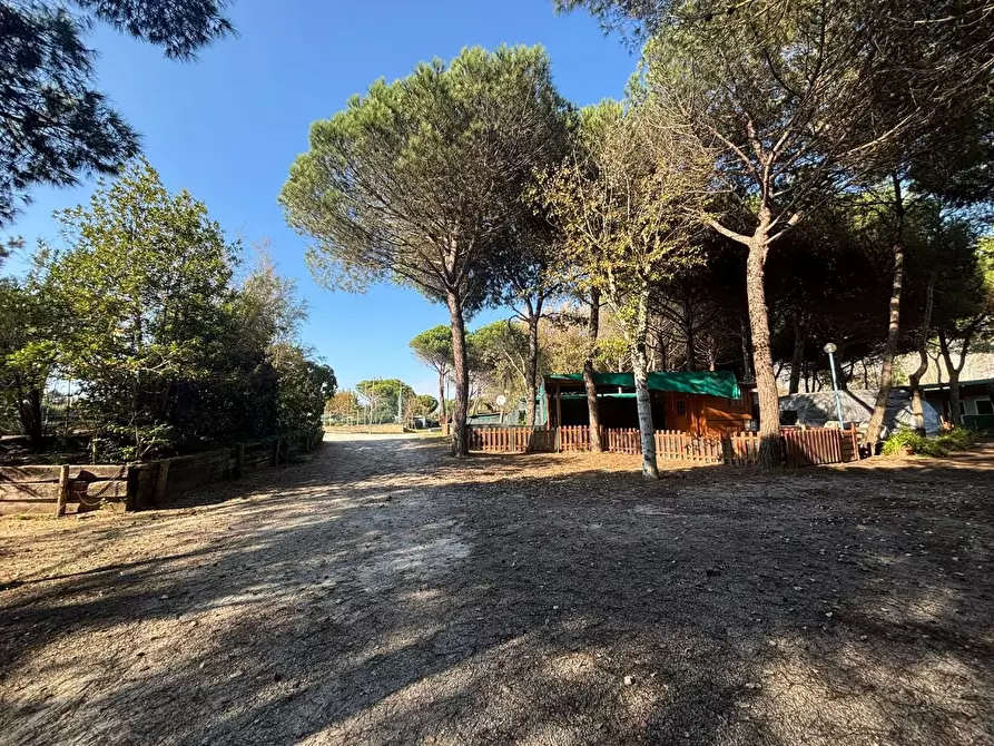 Immagine 9 di Attività commerciale in vendita  a Pisa