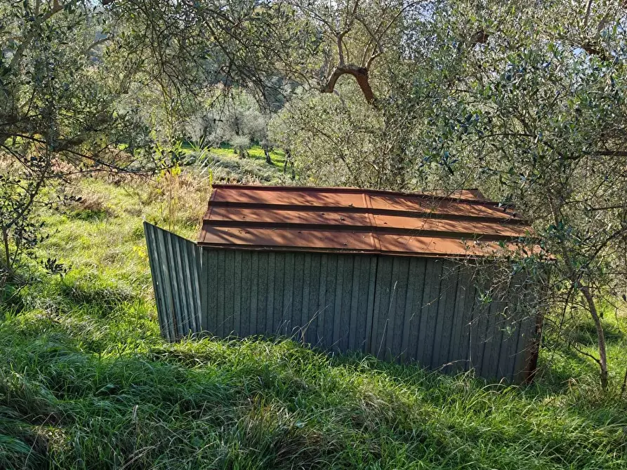 Immagine 16 di Terreno agricolo in vendita  a Sarzana