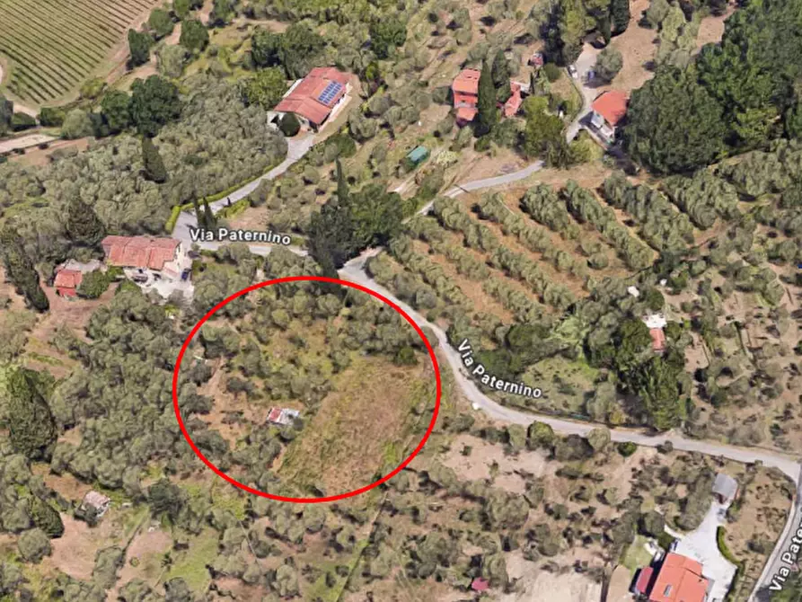 Immagine 2 di Terreno agricolo in vendita  a Sarzana