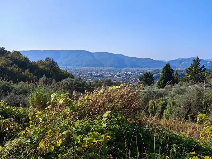 terreno agricolo in vendita a Sarzana
