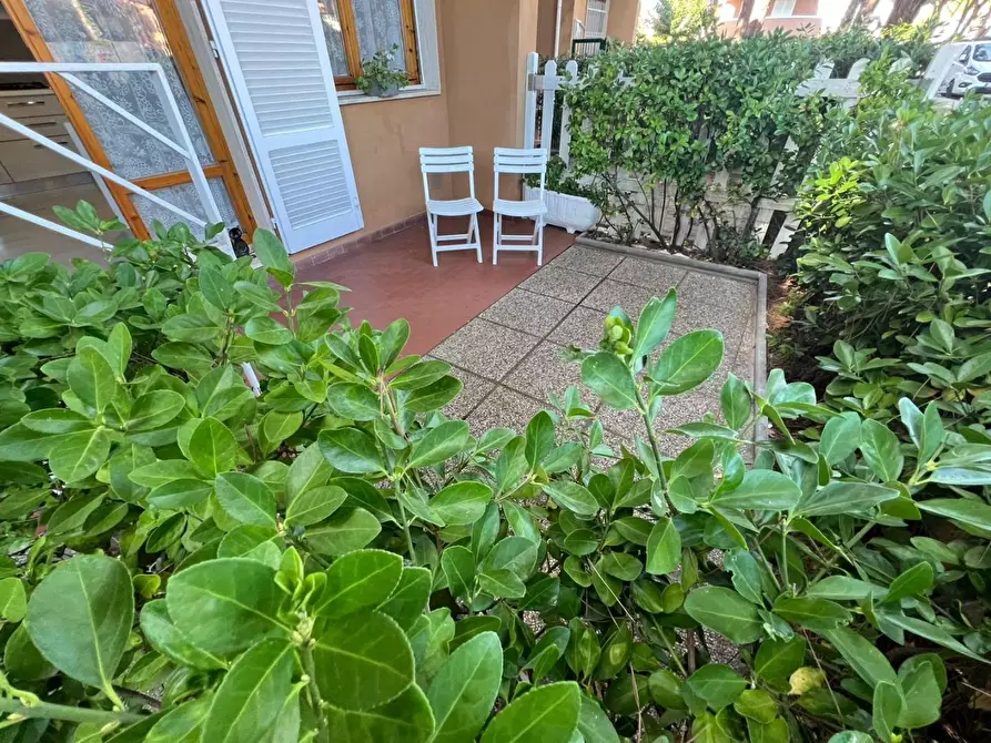 Immagine 1 di Appartamento in vendita  a Cecina