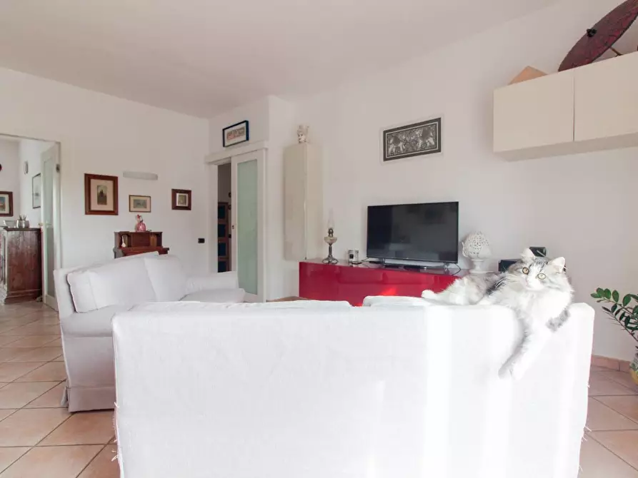 Immagine 4 di Appartamento in vendita  a Pisa