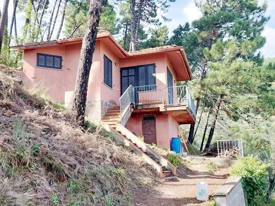 Immagine 6 di Casa indipendente in vendita  a Vicopisano