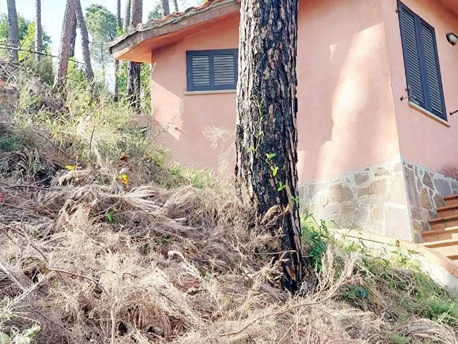 Immagine 2 di Casa indipendente in vendita  a Vicopisano
