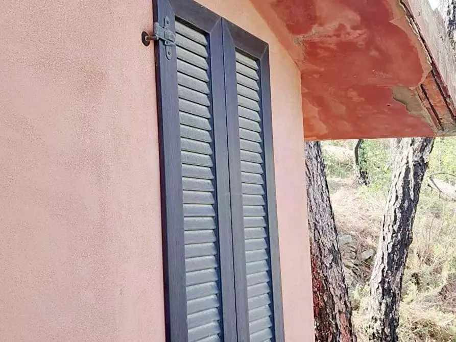 Immagine 8 di Casa indipendente in vendita  a Vicopisano