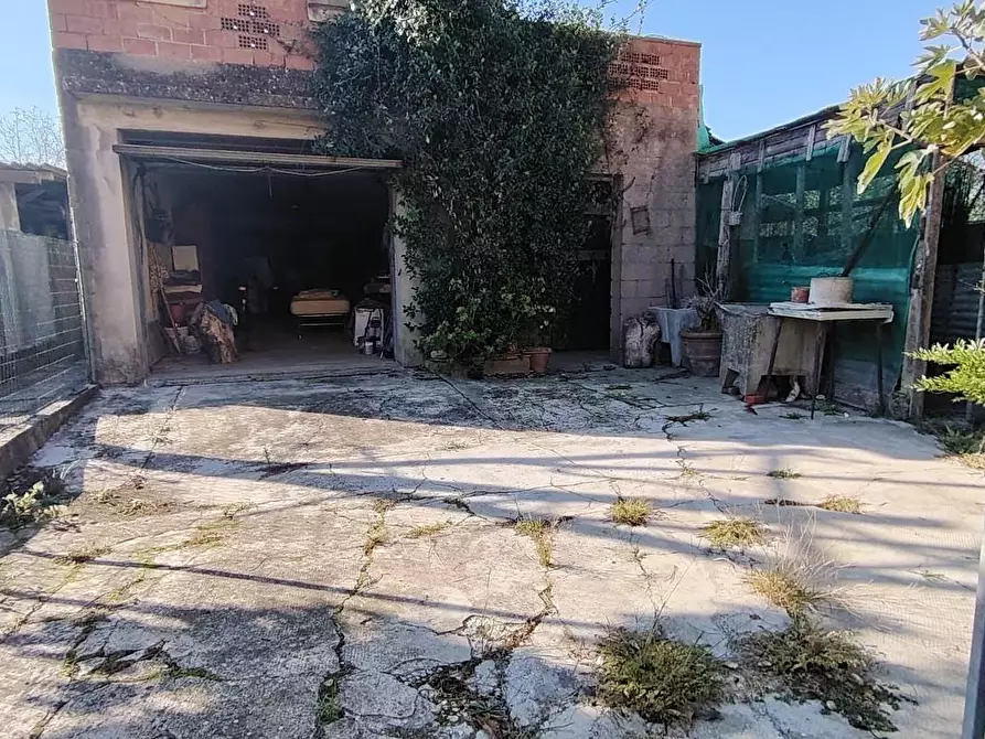 Immagine 3 di Appartamento in vendita  a Santa Maria A Monte