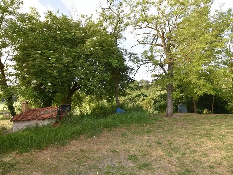 Immagine 32 di Porzione di casa in vendita  a Castelfiorentino