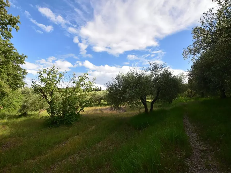 Immagine 31 di Porzione di casa in vendita  a Castelfiorentino