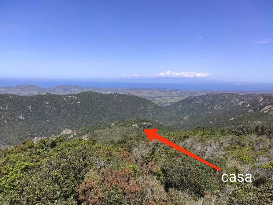 Immagine 3 di Casa colonica in vendita  a Aglientu