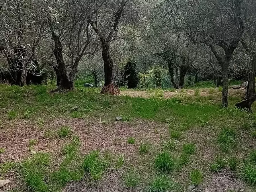 Immagine 8 di Villa in vendita  a Calci