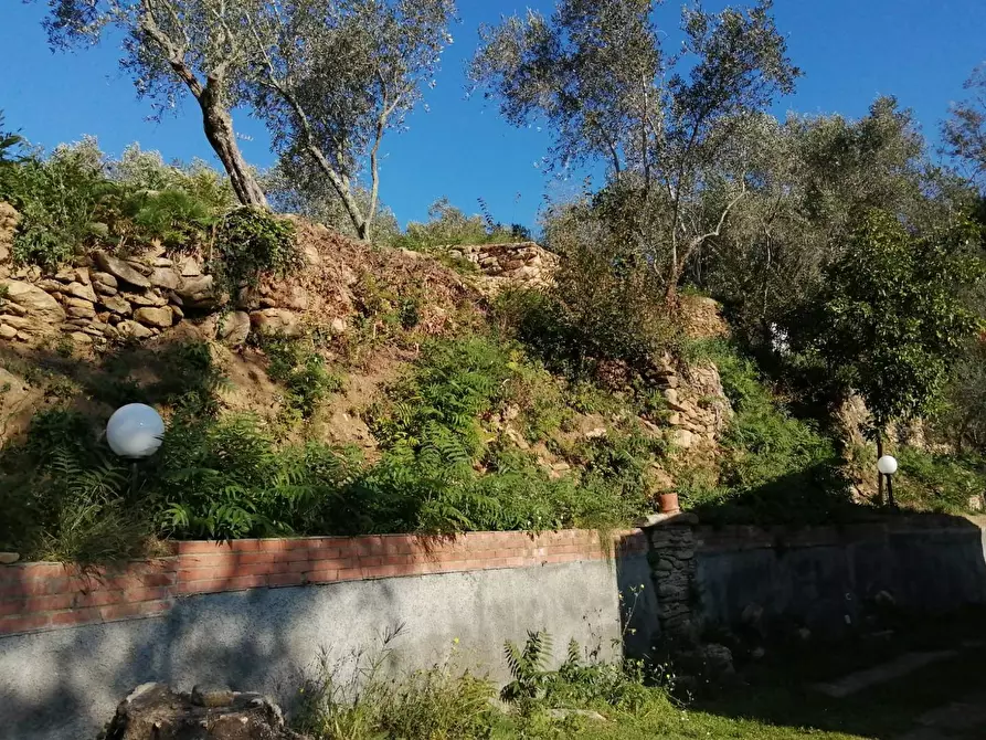 Immagine 6 di Villa in vendita  a Calci