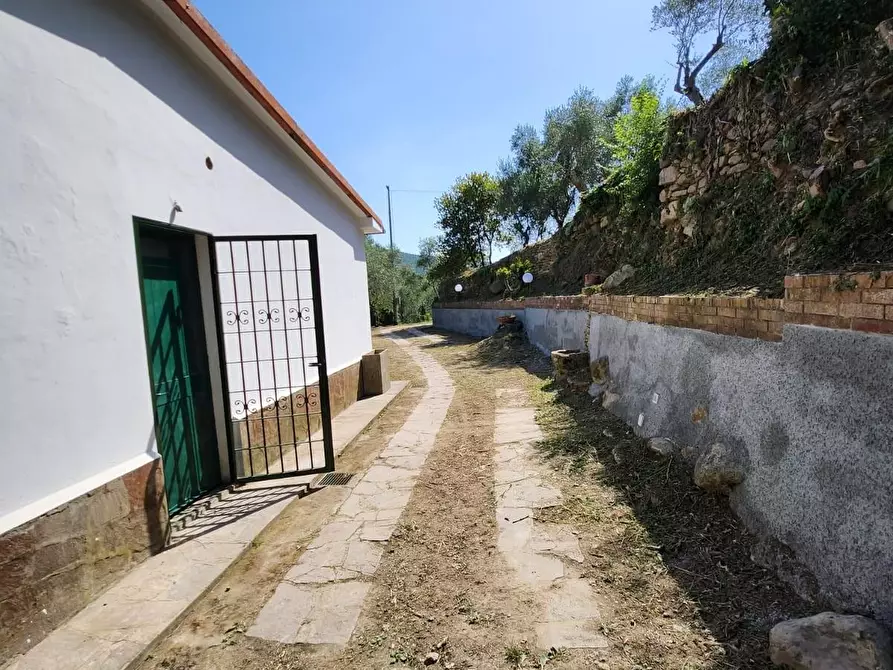 Immagine 26 di Villa in vendita  a Calci