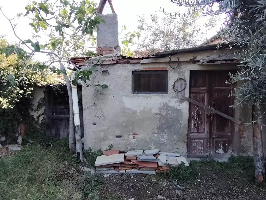 Immagine 4 di Terratetto in vendita  a Casciana Terme Lari