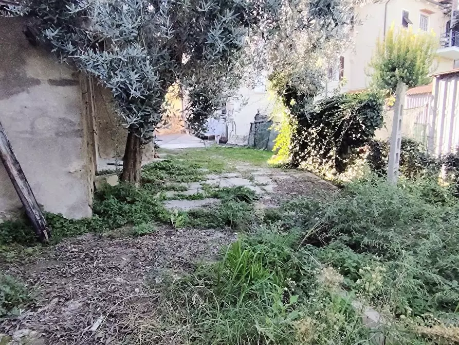 Immagine 3 di Terratetto in vendita  a Casciana Terme Lari