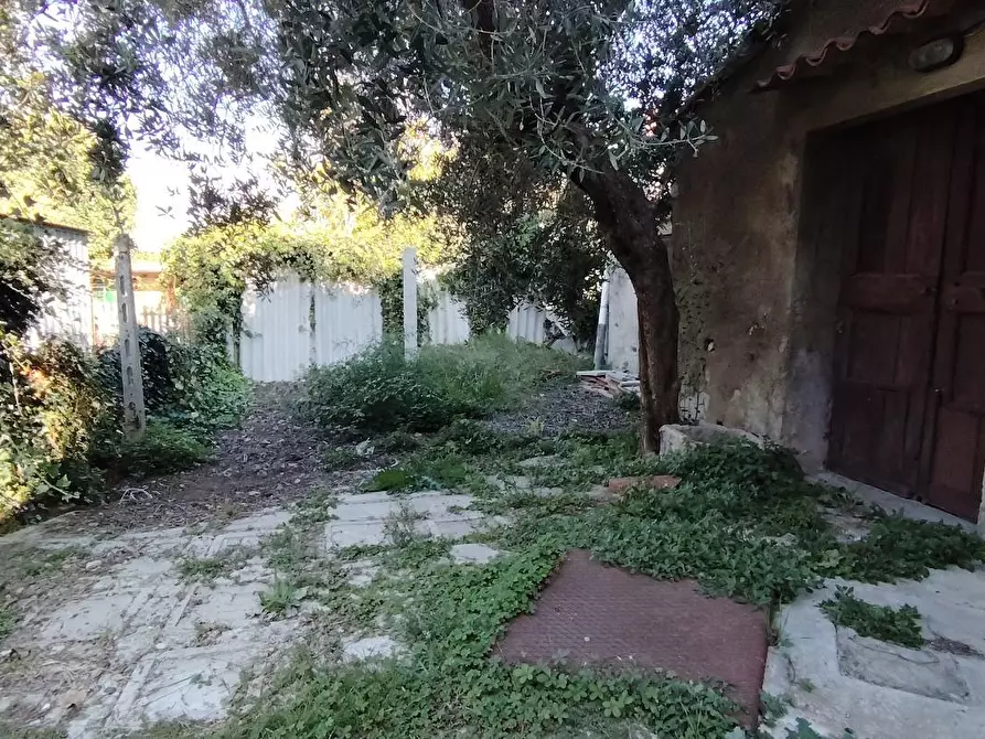 Immagine 5 di Terratetto in vendita  a Casciana Terme Lari