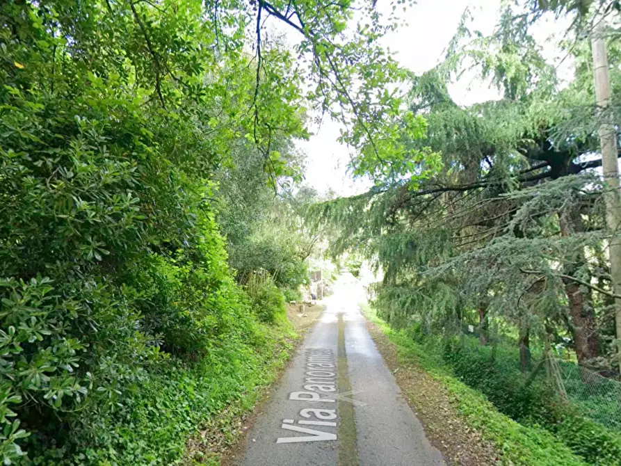 Immagine 8 di Villa in vendita  a Vecchiano