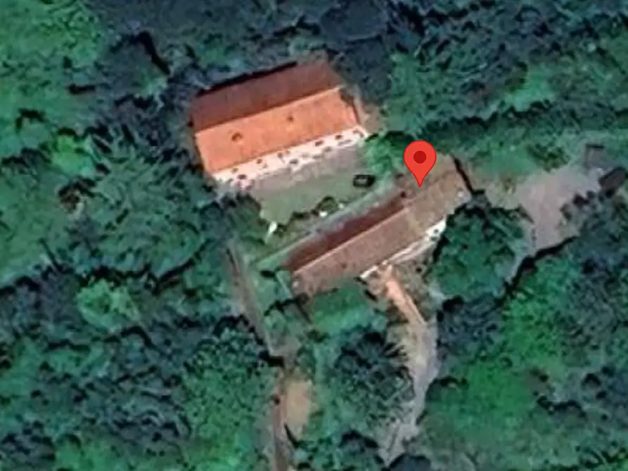 Immagine 9 di Villa in vendita  a Vecchiano