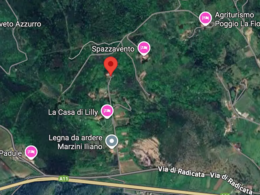 Immagine 13 di Villa in vendita  a Vecchiano