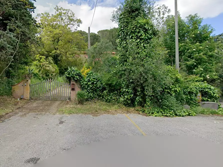 Immagine 7 di Villa in vendita  a Vecchiano