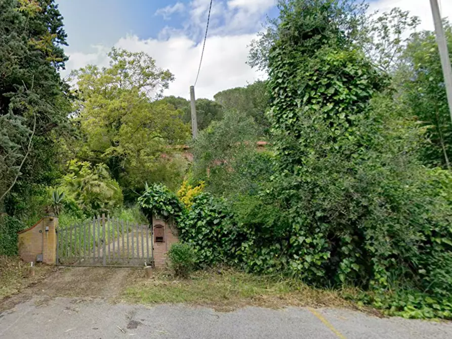 Immagine 6 di Villa in vendita  a Vecchiano